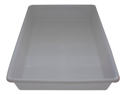 Bandeja Plastica Açougue  Congelamento 40 X 60 Cm